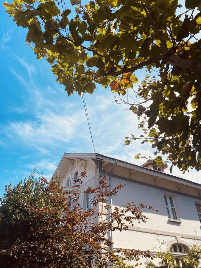 Alamar Salinas House Dış mekan fotoğraf